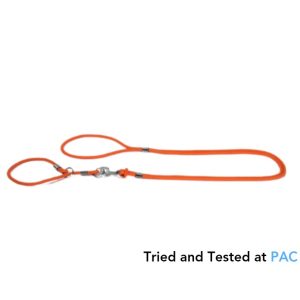 Split leash with collar