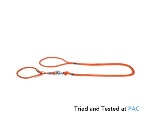 Split leash with collar